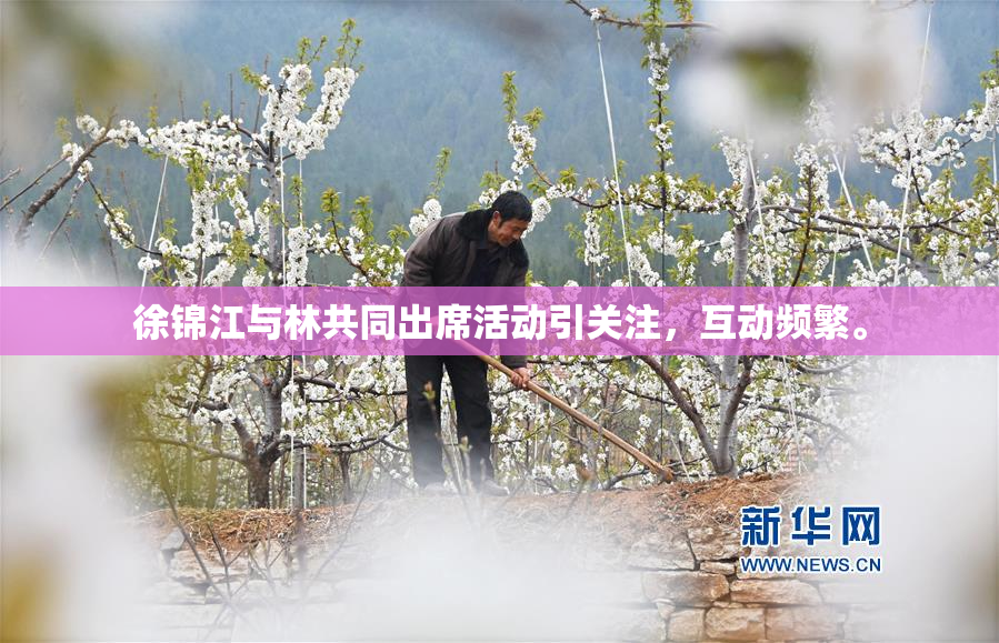 徐锦江与林共同出席活动引关注，互动频繁。