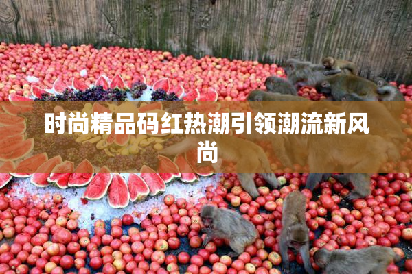 时尚精品码红热潮引领潮流新风尚