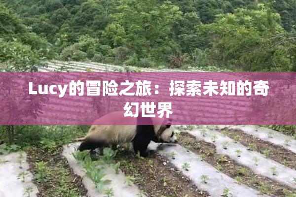 Lucy的冒险之旅：探索未知的奇幻世界