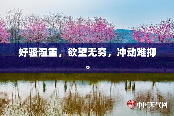 好骚湿重，欲望无穷，冲动难抑。