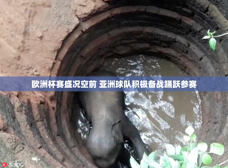 欧洲杯赛盛况空前 亚洲球队积极备战踊跃参赛