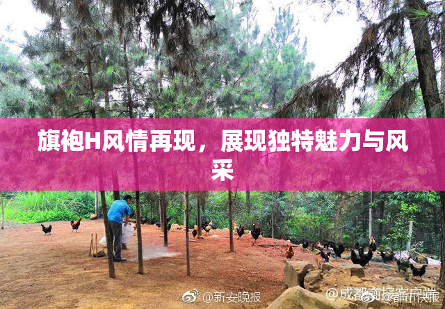 旗袍H风情再现，展现独特魅力与风采