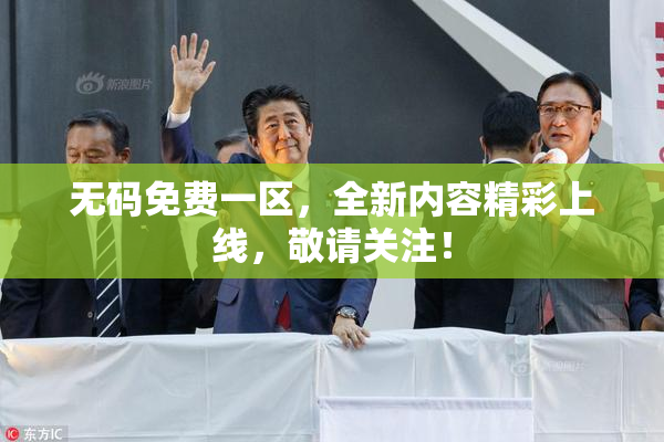 无码免费一区，全新内容精彩上线，敬请关注！
