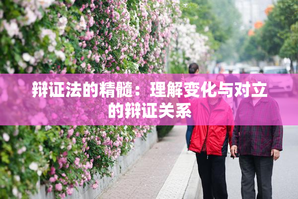 辩证法的精髓：理解变化与对立的辩证关系
