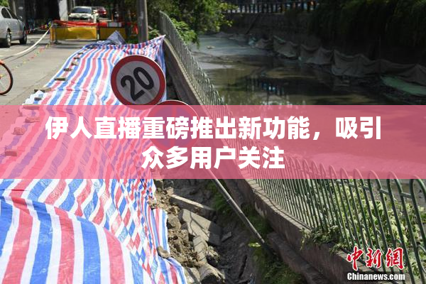 伊人直播重磅推出新功能，吸引众多用户关注
