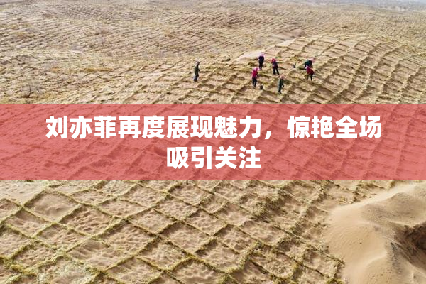 刘亦菲再度展现魅力，惊艳全场吸引关注