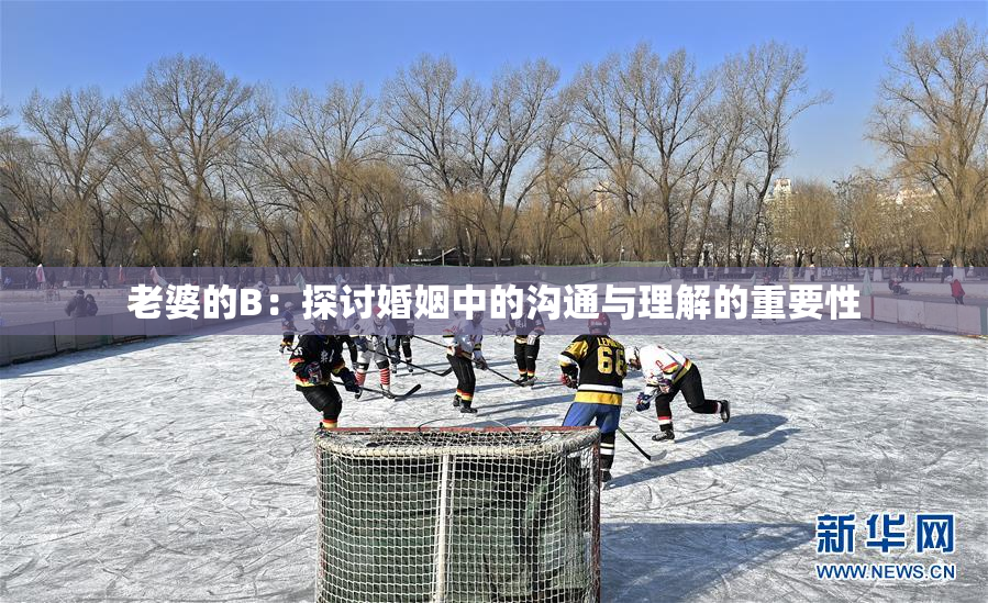 老婆的B：探讨婚姻中的沟通与理解的重要性