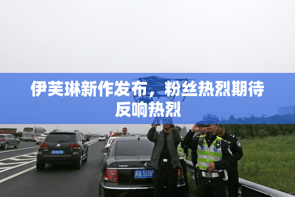 伊芙琳新作发布，粉丝热烈期待反响热烈