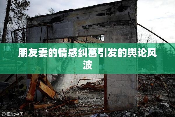 朋友妻的情感纠葛引发的舆论风波