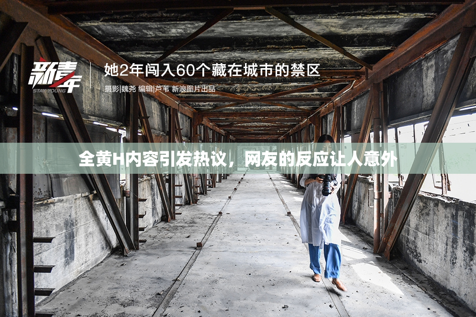 全黄H内容引发热议，网友的反应让人意外