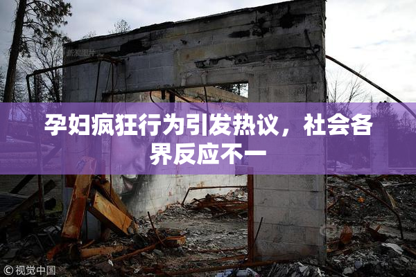 孕妇疯狂行为引发热议，社会各界反应不一