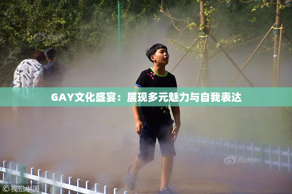 GAY文化盛宴：展现多元魅力与自我表达