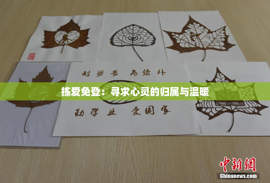 拣爱免登：寻求心灵的归属与温暖