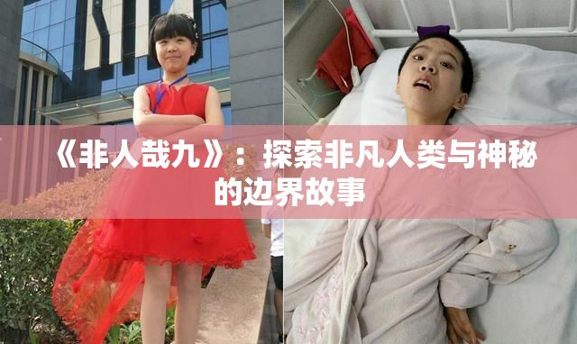《非人哉九》：探索非凡人类与神秘的边界故事