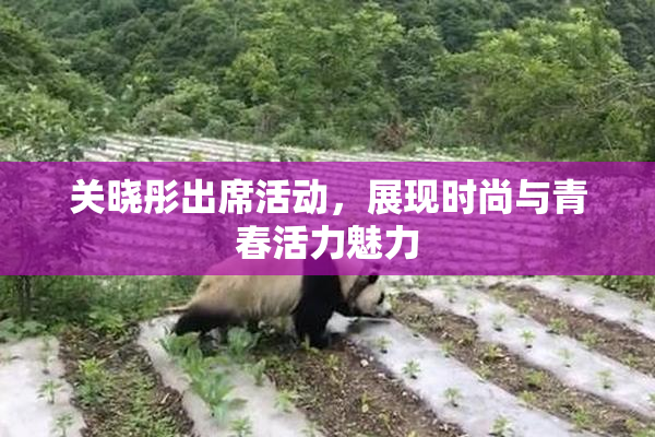 关晓彤出席活动，展现时尚与青春活力魅力
