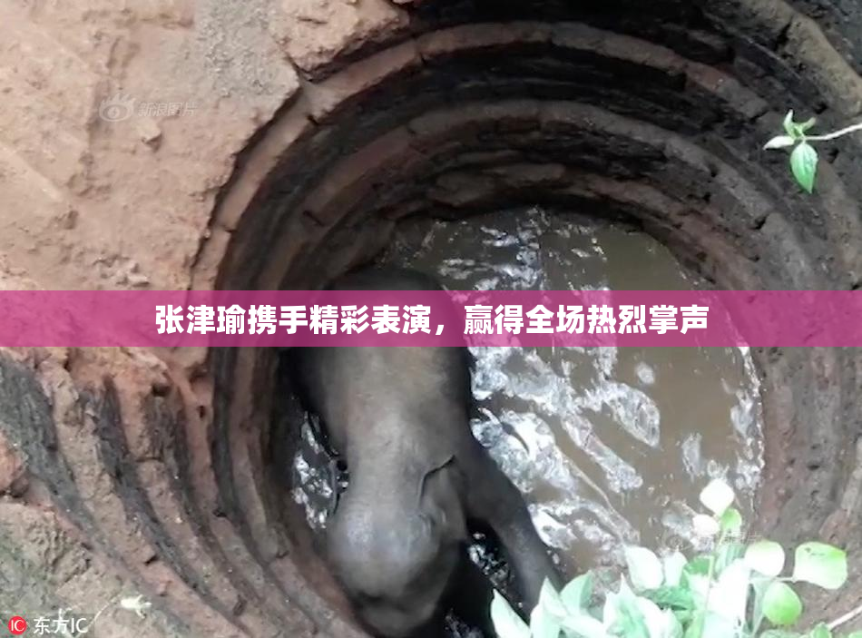 张津瑜携手精彩表演，赢得全场热烈掌声