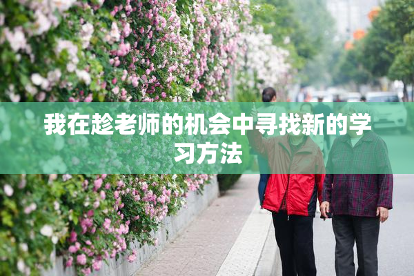 我在趁老师的机会中寻找新的学习方法