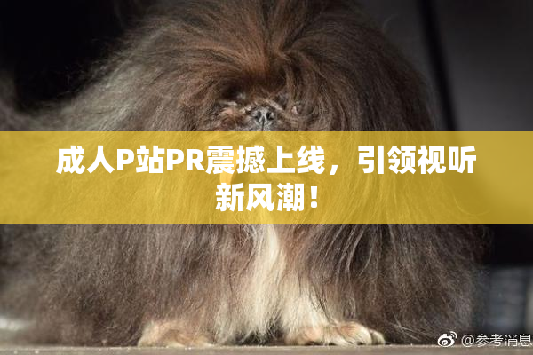 成人P站PR震撼上线，引领视听新风潮！