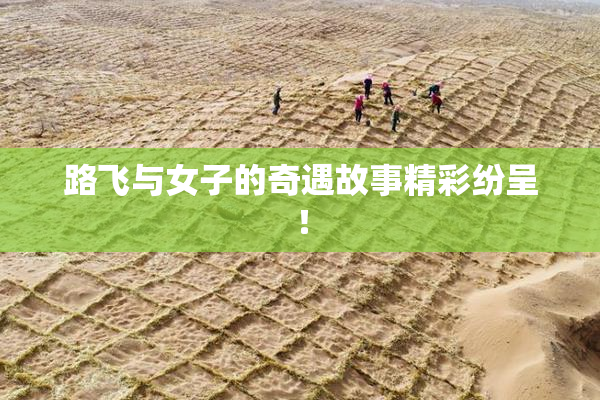 路飞与女子的奇遇故事精彩纷呈！
