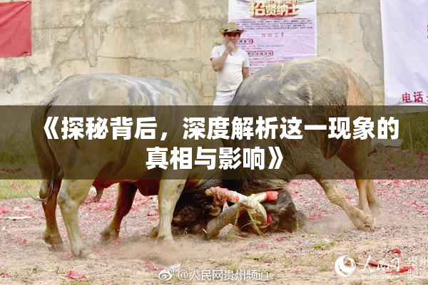 《探秘背后，深度解析这一现象的真相与影响》