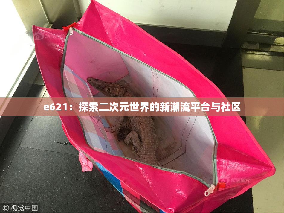 e621：探索二次元世界的新潮流平台与社区