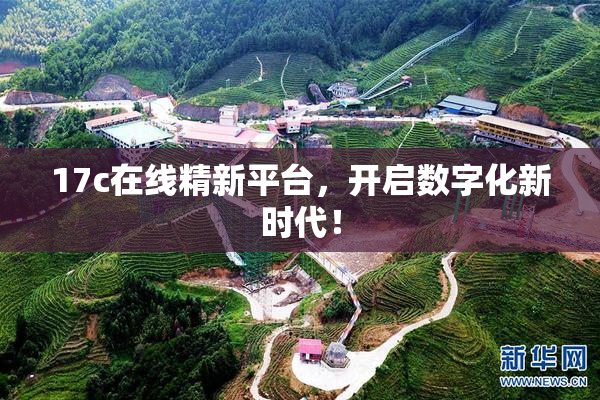 17c在线精新平台，开启数字化新时代！