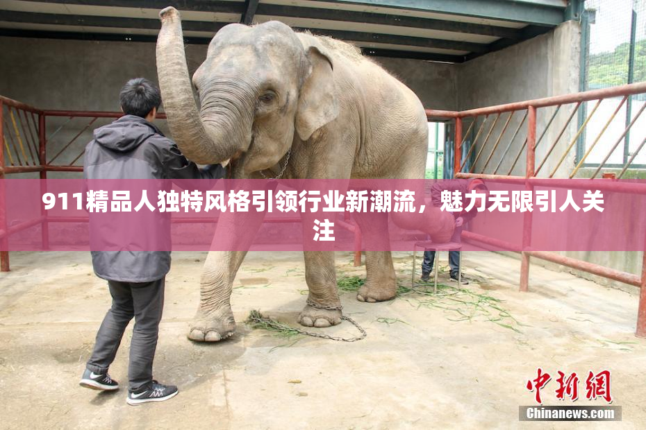 911精品人独特风格引领行业新潮流，魅力无限引人关注