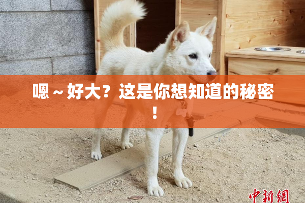嗯～好大？这是你想知道的秘密！