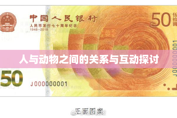 人与动物之间的关系与互动探讨