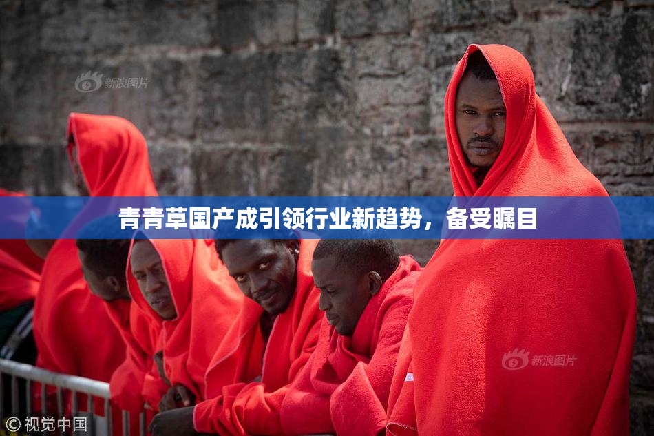青青草国产成引领行业新趋势，备受瞩目