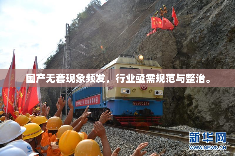 国产无套现象频发，行业亟需规范与整治。