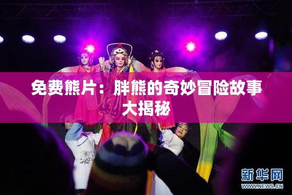 免费熊片：胖熊的奇妙冒险故事大揭秘