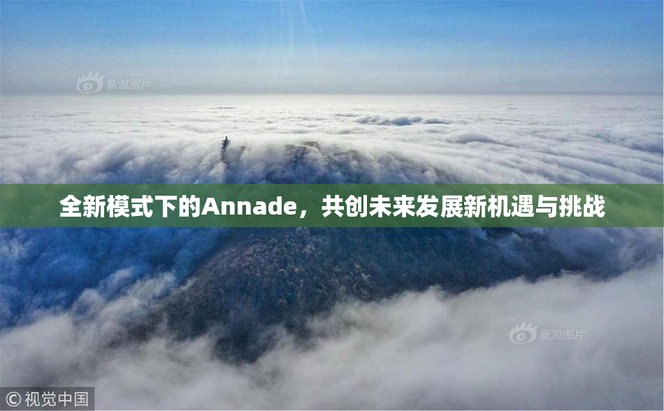 全新模式下的Annade，共创未来发展新机遇与挑战