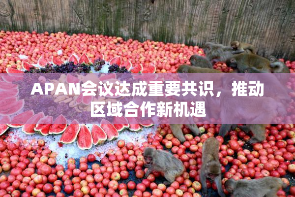 APAN会议达成重要共识，推动区域合作新机遇