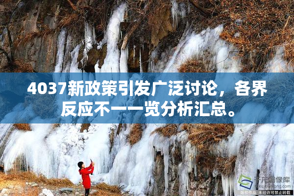 4037新政策引发广泛讨论，各界反应不一一览分析汇总。