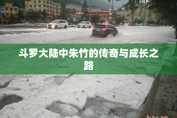 斗罗大陆中朱竹的传奇与成长之路