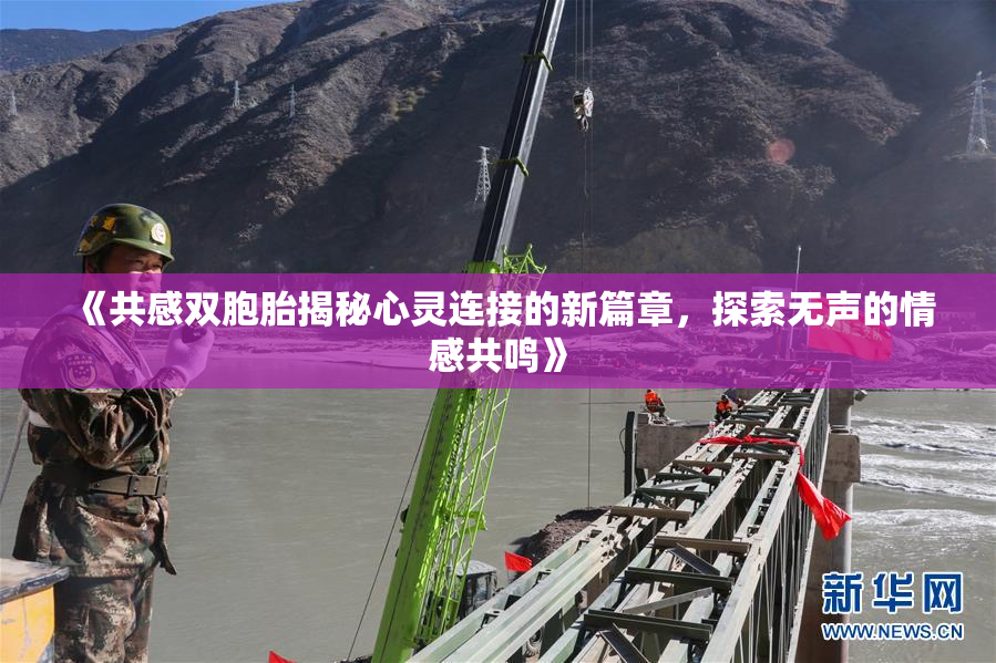 《共感双胞胎揭秘心灵连接的新篇章，探索无声的情感共鸣》