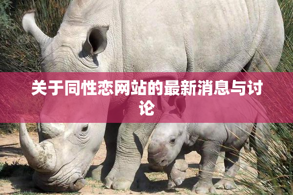 关于同性恋网站的最新消息与讨论
