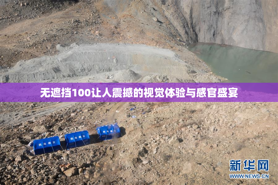 无遮挡100让人震撼的视觉体验与感官盛宴