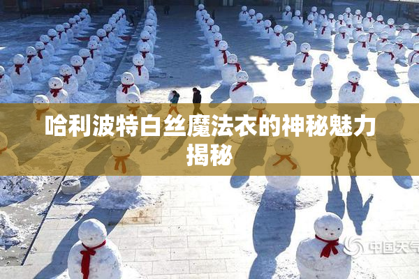 哈利波特白丝魔法衣的神秘魅力揭秘