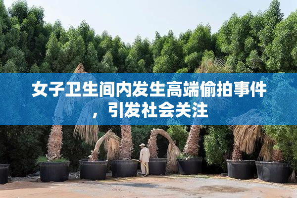 女子卫生间内发生高端偷拍事件，引发社会关注