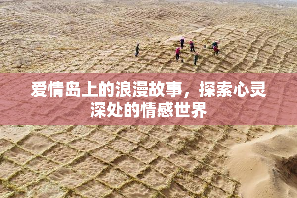 爱情岛上的浪漫故事，探索心灵深处的情感世界