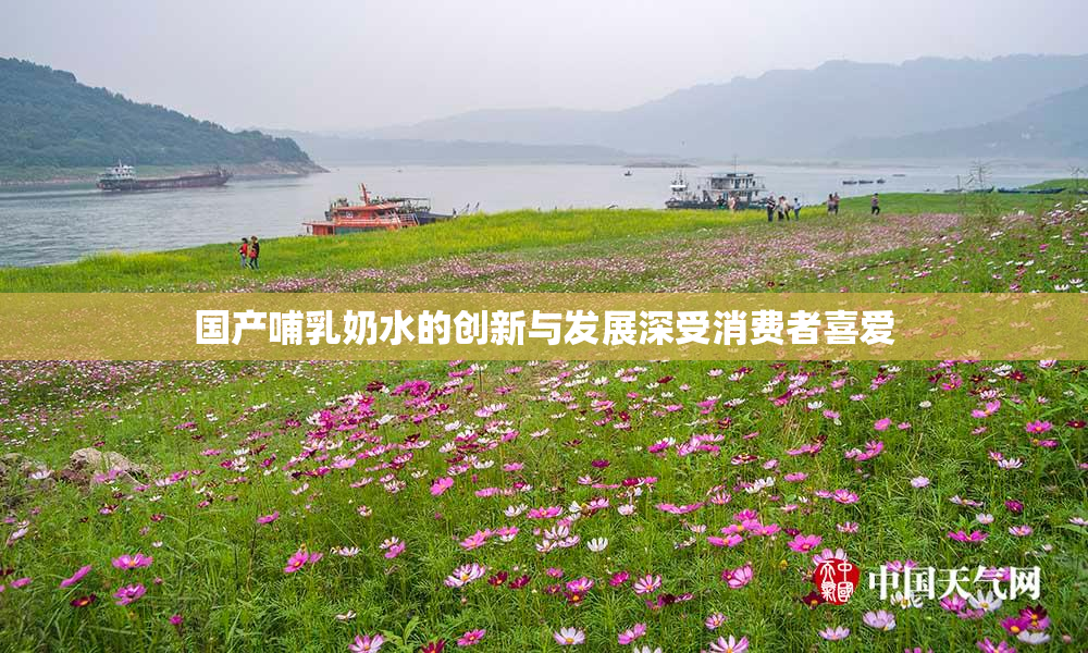 国产哺乳奶水的创新与发展深受消费者喜爱
