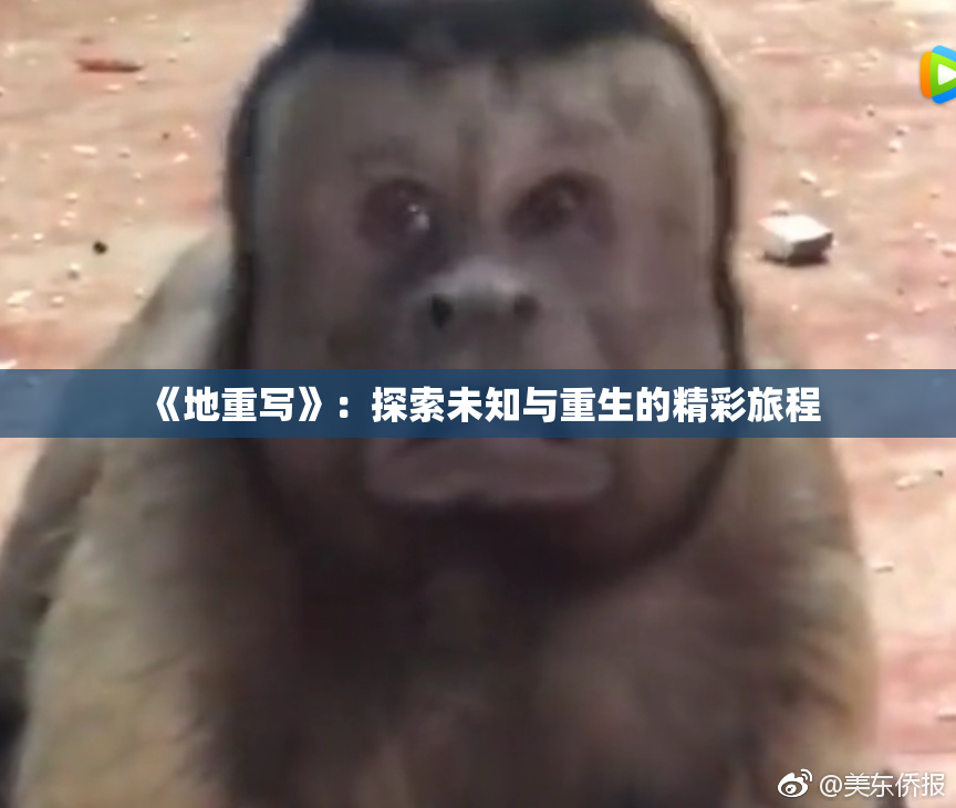 《地重写》：探索未知与重生的精彩旅程