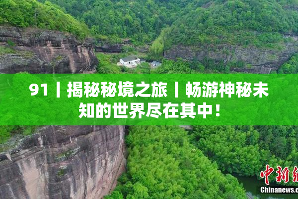 91丨揭秘秘境之旅丨畅游神秘未知的世界尽在其中！
