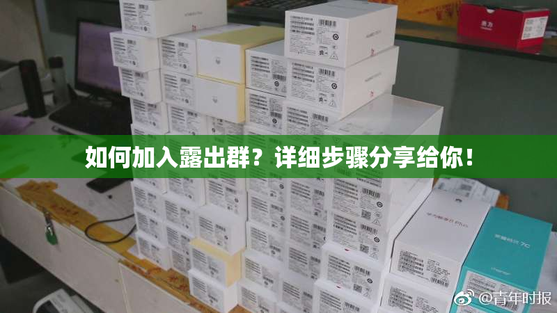 如何加入露出群？详细步骤分享给你！