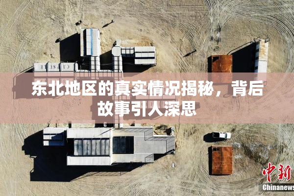 东北地区的真实情况揭秘，背后故事引人深思