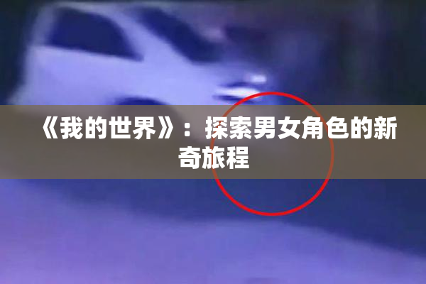 《我的世界》：探索男女角色的新奇旅程