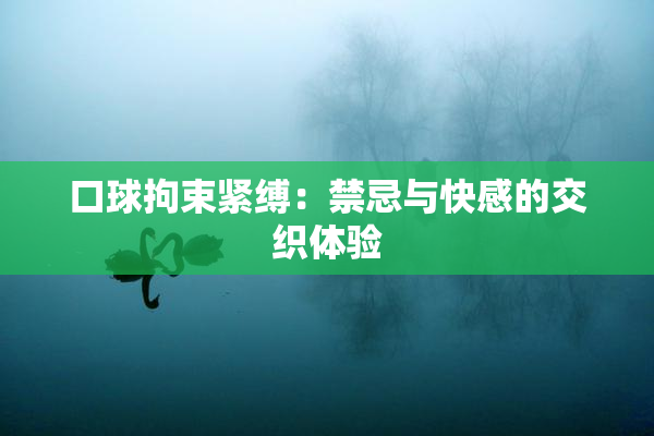 口球拘束紧缚：禁忌与快感的交织体验