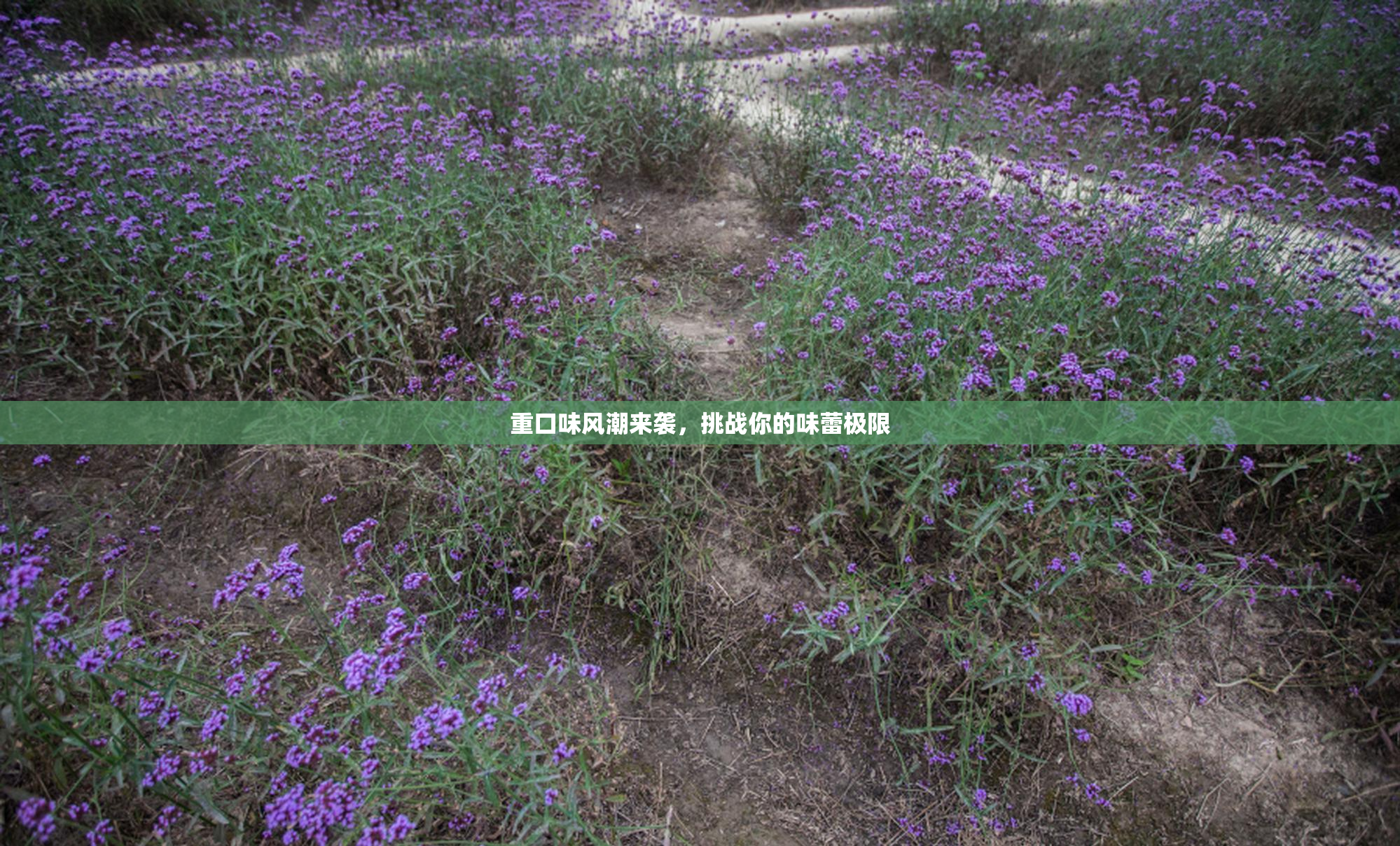 重口味风潮来袭，挑战你的味蕾极限